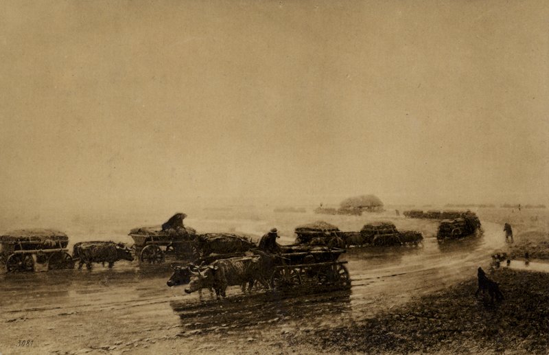 1875年马里乌波尔的牛车道 作者 欧洲学校