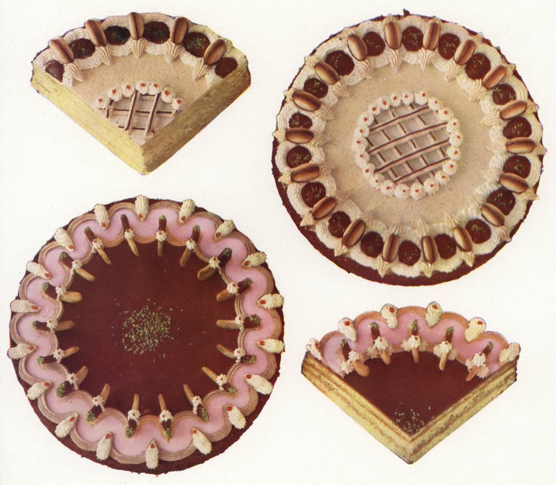 Great Washington tart, Gustave Adolph tart (photo) 作者 欧洲摄影师