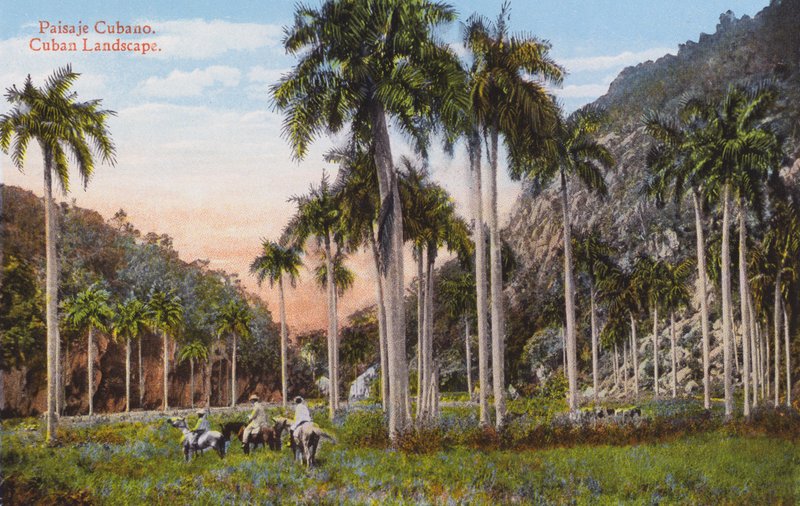 Havana, Cuba: Cuban Landscape (photo) 作者 欧洲摄影师