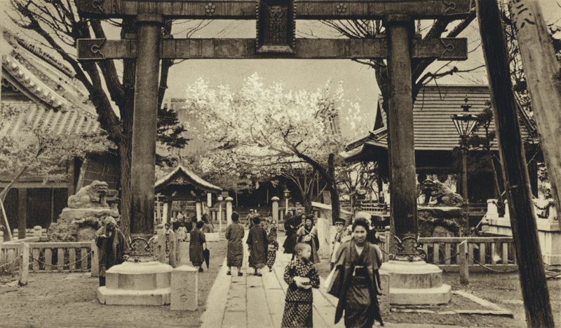 日本，东京街头，樱花盛开时节（黑白照片）。 作者 欧洲摄影师