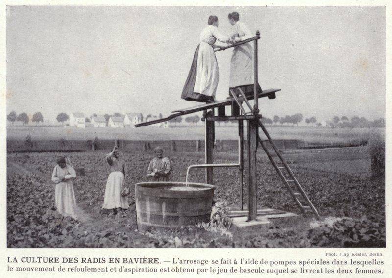 La Culture Des Radis En Baviere (b/w photo) 作者 欧洲摄影师