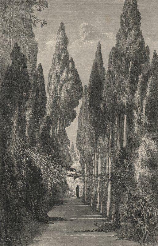 Allee Du Generalife (雕刻) 作者 欧洲学校