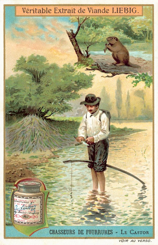 Beaver trapper (chromolitho) 作者 欧洲学校