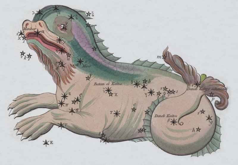 Cetus（彩色石版画） 作者 欧洲学校