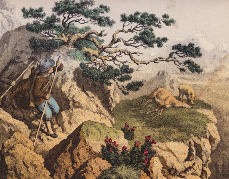 阿尔卑斯山的羚羊猎人，其中一人背着一只山羊（彩色石版画） 作者 欧洲学校