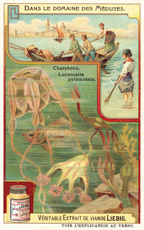 Charybdis 和 Pyramidal Lucernia (chromolitho) 作者 欧洲学校