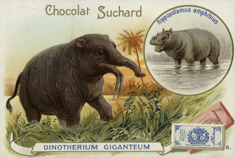 Deinotherium Giganteum和hippopotamus 作者 欧洲学校