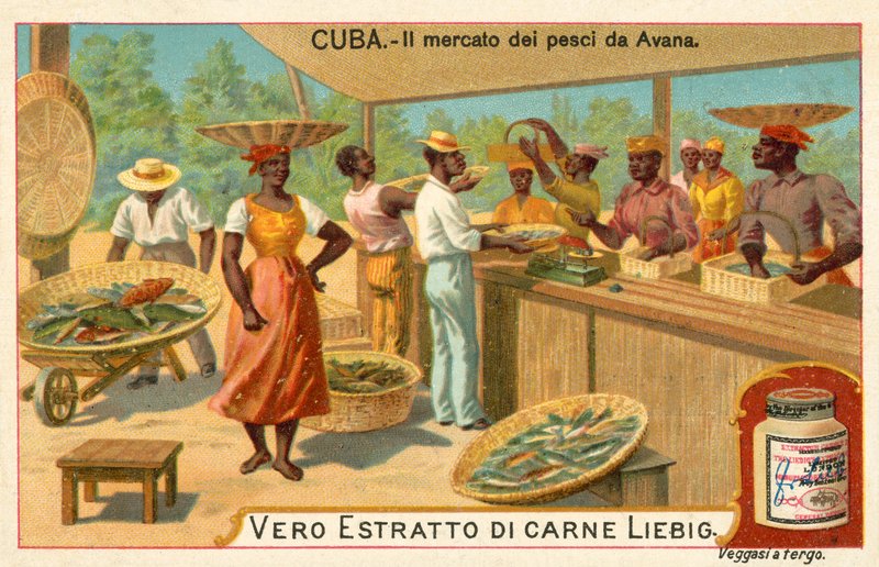 Fish market of Havana, Cuba (chromolitho) 作者 欧洲学校