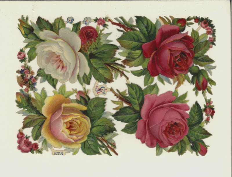 花朵(chromolitho) 作者 欧洲学校