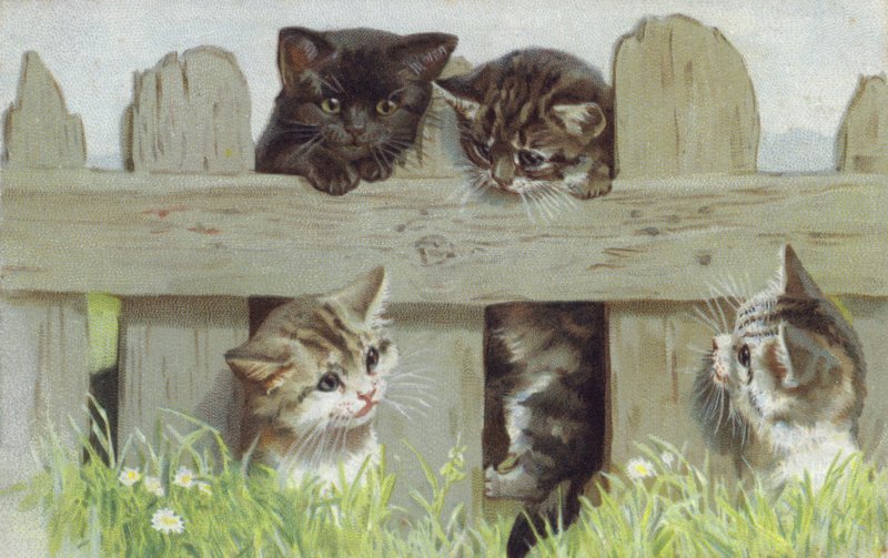 篱笆边的四只小猫（chromolitho） 作者 欧洲学校