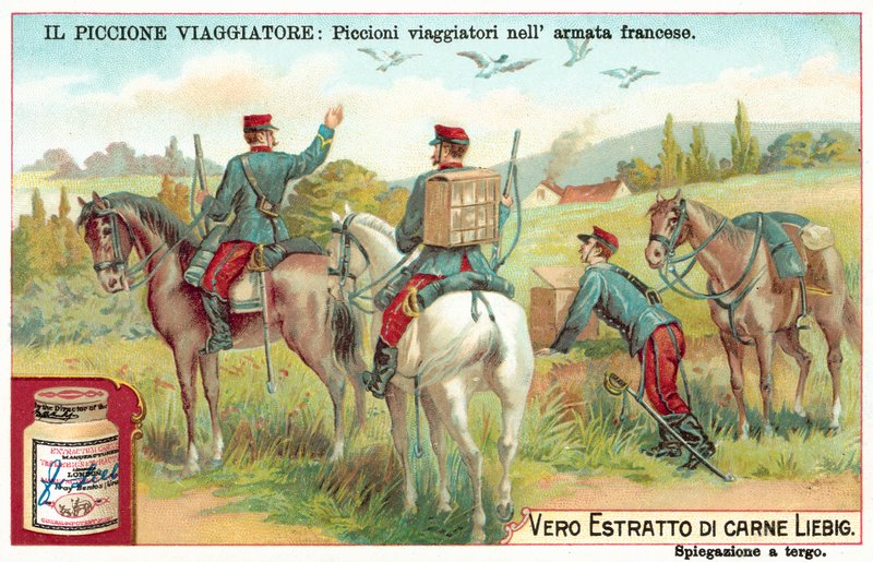 French Army carrier pigeons (chromolitho) 作者 欧洲学校