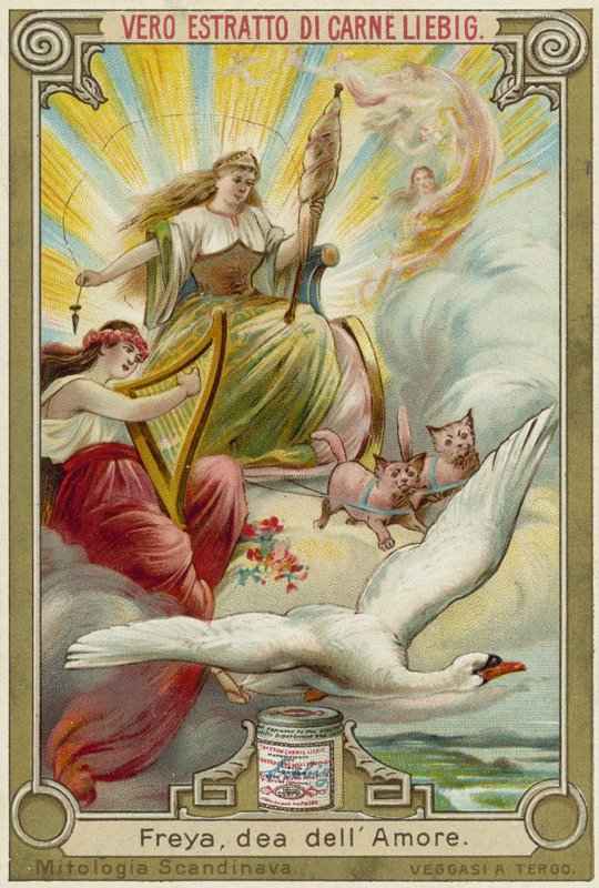 Freyja，爱的女神 作者 欧洲学校
