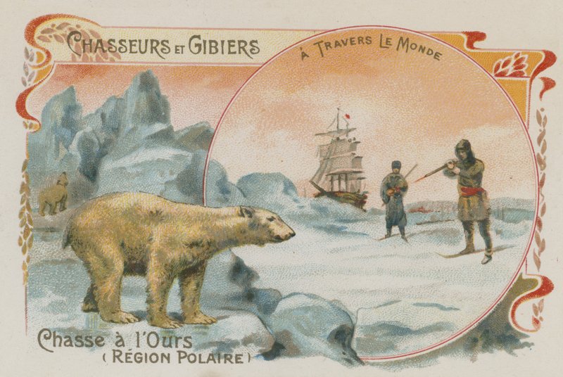 Hunting for polar bears (chromolitho) 作者 欧洲学校