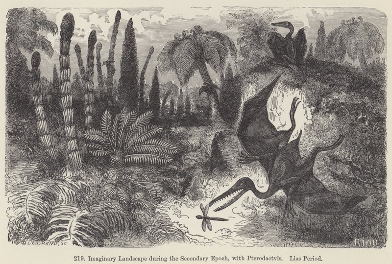 Imaginary Landscape during the Secondary Epoch, with Pterodactyls, Lias Period (engraving) 作者 欧洲学校