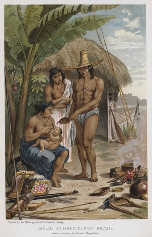 印度家庭，巴西东部（chromolitho） 作者 欧洲学校