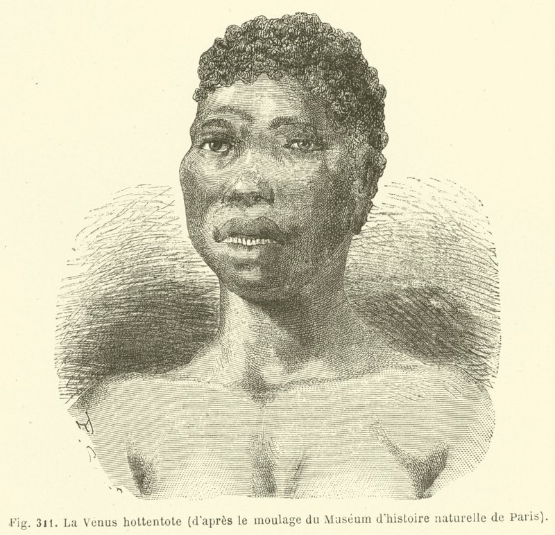 Hottentot Venus，来自巴黎自然历史博物馆的铸件（雕刻） 作者 欧洲学校