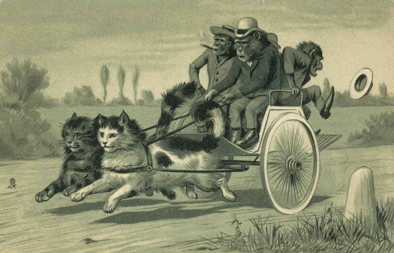 猴子驾着两只猫拉的马车（石版画） 作者 欧洲学校