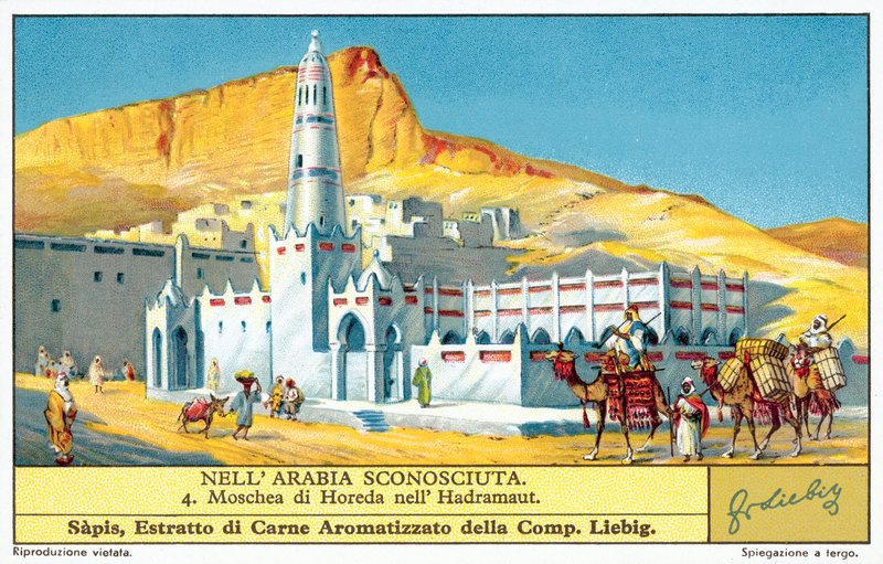 Hadhramaut 的 Horeda 清真寺（chromolitho） 作者 欧洲学校
