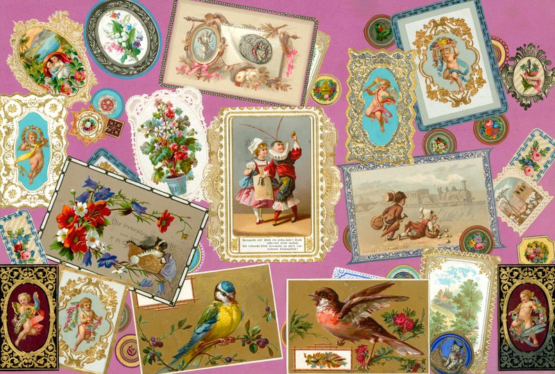 来自Sammelsurium的第一卷 作者 欧洲学校