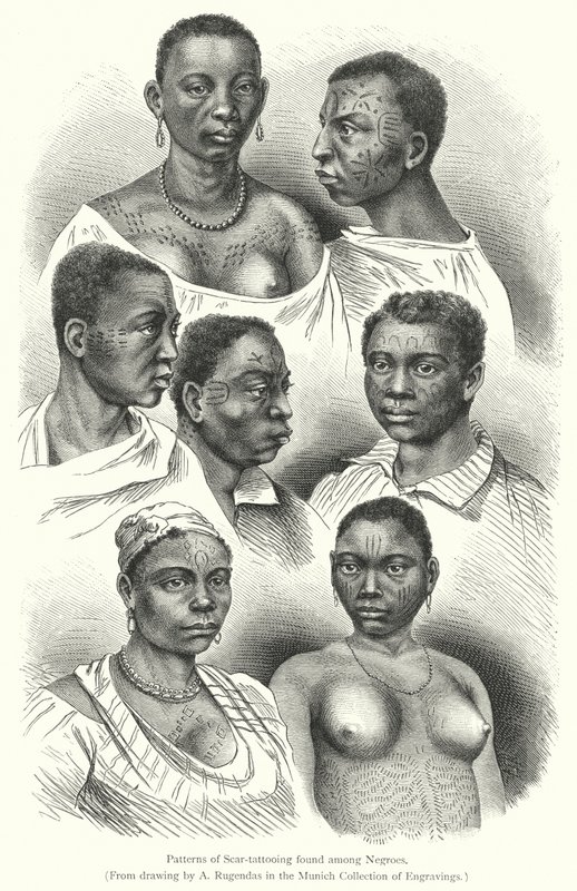 Patterns of Scar-tattooing found among Negroes (engraving) 作者 欧洲学校
