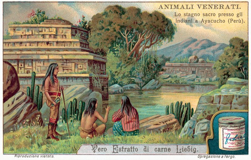 Pool of sacred fish at Ayacucho, Peru (chromolitho) 作者 欧洲学校