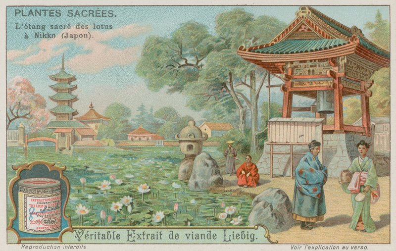 神圣的莲花池塘在日光，日本 作者 欧洲学校
