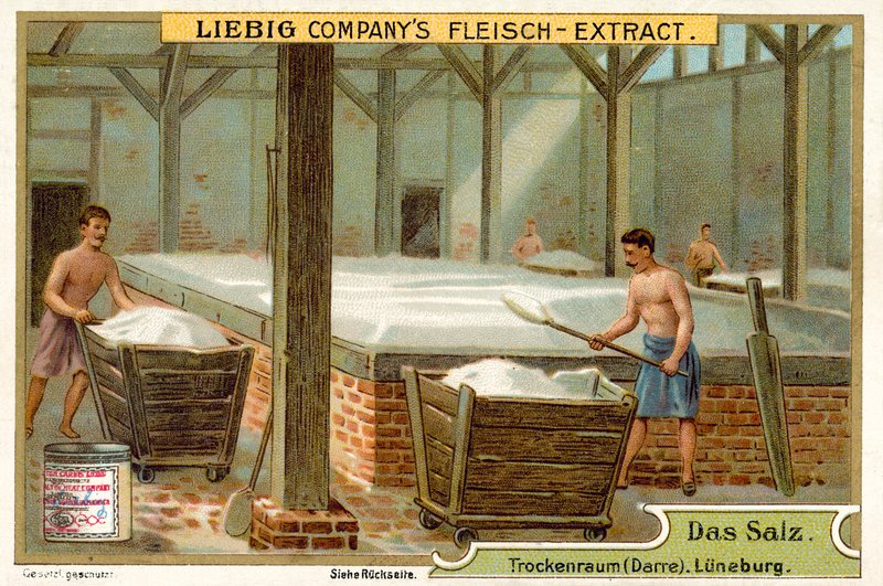 Salt: drying room, Luneburg, Germany (chromolitho) 作者 欧洲学校