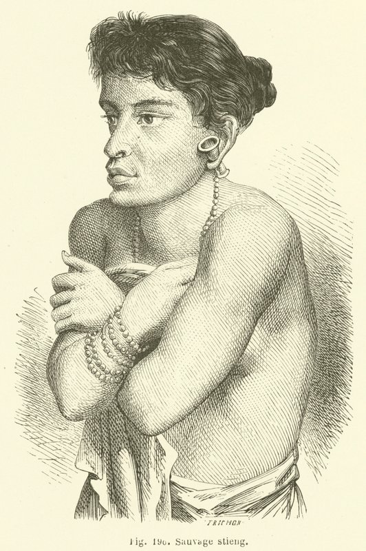 Sauvage stieng (engraving) 作者 欧洲学校