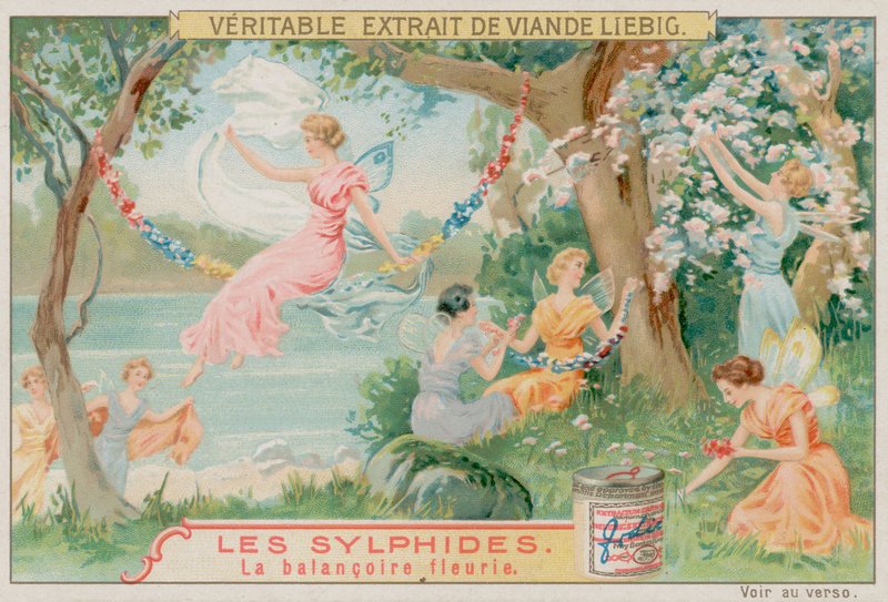 Sylphs和花秋千 作者 欧洲学校