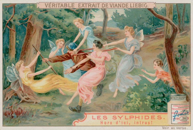 Sylphs和入侵者 作者 欧洲学校