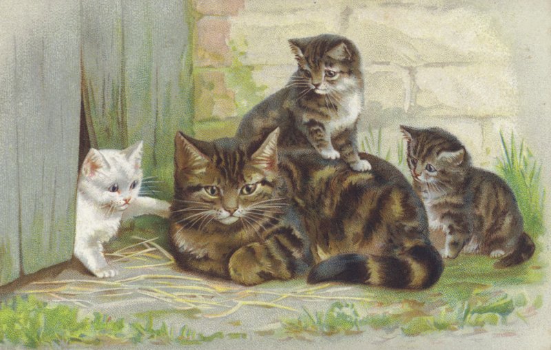 带着三只小猫的虎斑猫（chromolitho） 作者 欧洲学校