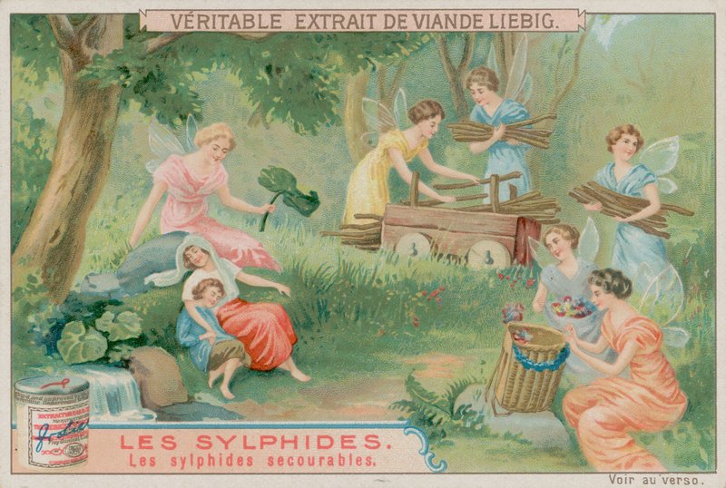 有用的Sylphs 作者 欧洲学校