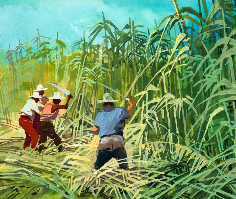 在阿根廷砍甘蔗 作者 费迪南多·塔科尼