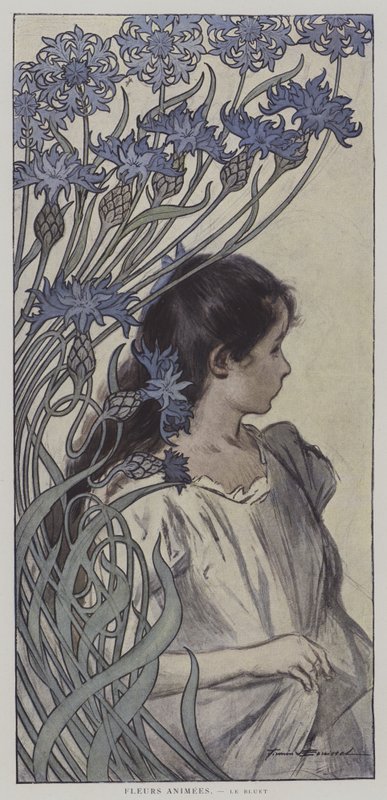 动漫之花。Le Bluet.(动画花：矢车菊) (彩色平印) 作者 Firmin（后）Bouisset