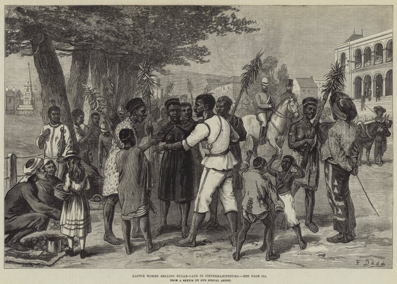 Kaffir妇女在Pietermaritzburg卖甘蔗 作者 弗兰克·达德
