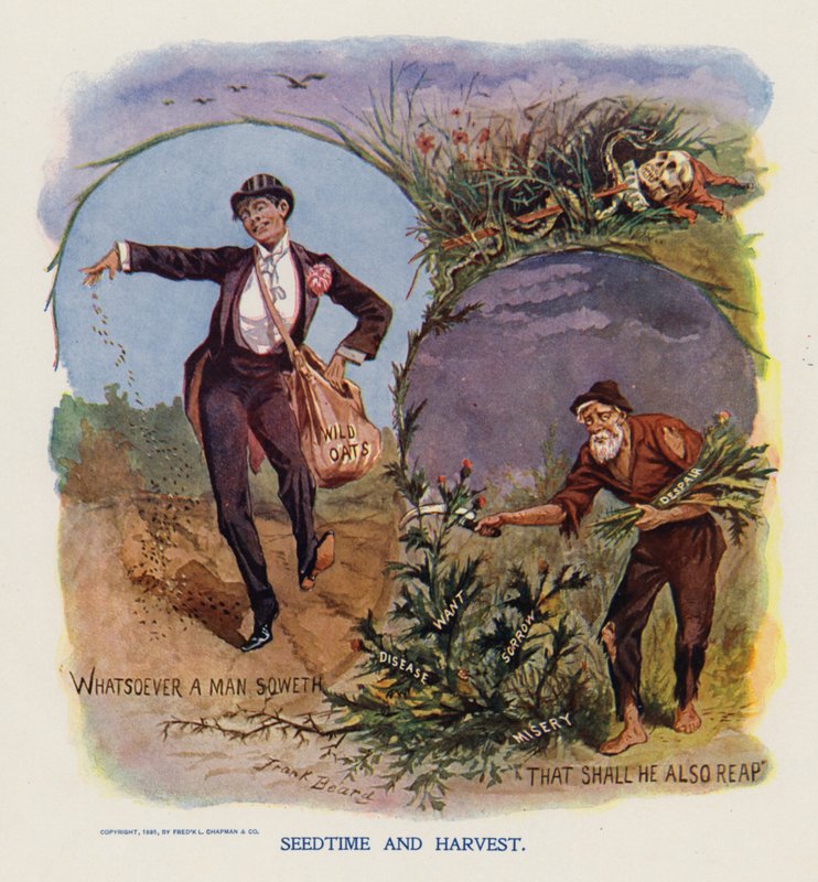 播种与收获》（彩色印刷版） 作者 弗兰克·比尔德