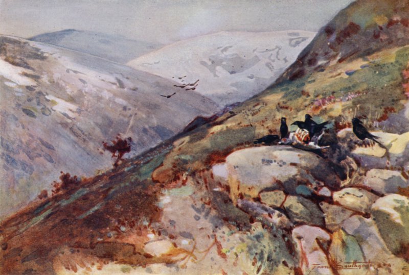 Near Kielder (colour litho) 作者 弗兰克·索斯盖特
