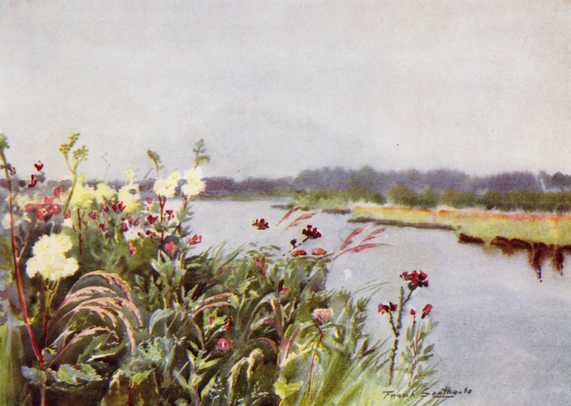Norfolk Broads：Bure Bank（彩色石版画） 作者 弗兰克·索斯盖特