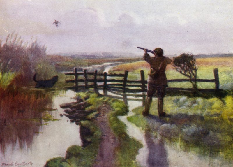 诺福克·布罗德斯（Norfolk Broads）：沼泽地上的十月早晨 作者 弗兰克·索斯盖特
