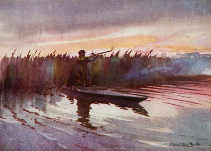 Norfolk Broads: Flight-Shooting (colour litho) 作者 弗兰克·索斯盖特