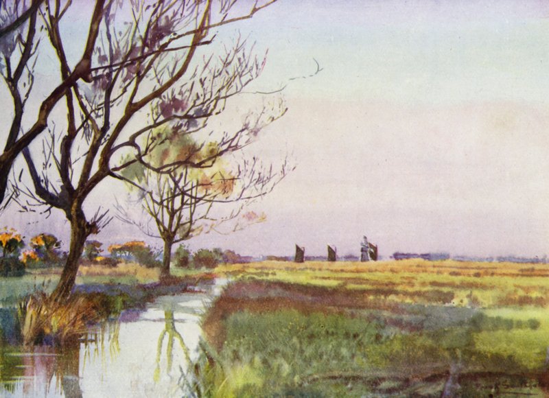 Norfolk Broads: Marshland near Barton (colour litho) 作者 弗兰克·索斯盖特