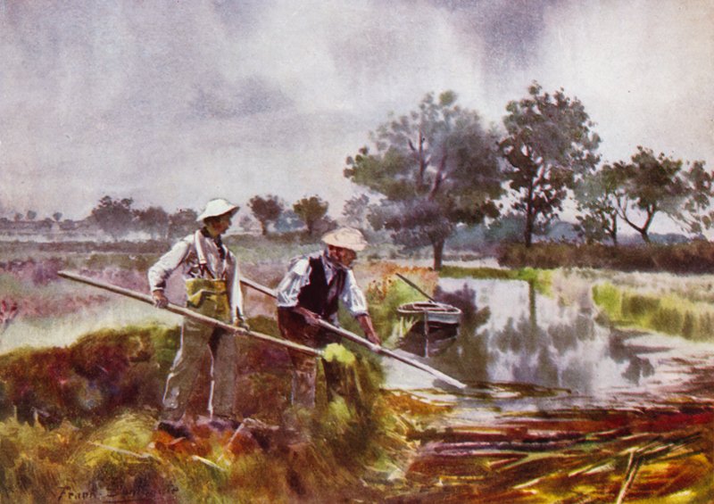 诺福克大区（Norfolk Broads）：沼泽男子除草 作者 弗兰克·索斯盖特
