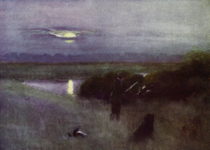 Norfolk Broads: Moonrise, at Flight (colour litho) 作者 弗兰克·索斯盖特