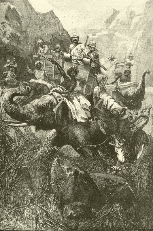 Tiger hunting in India (engraving) 作者 弗雷德里克·威廉·伯顿