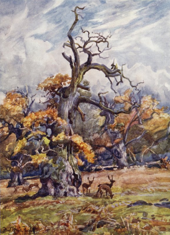Packington Park 作者 弗雷德里克·威廉·牛顿·怀特黑德