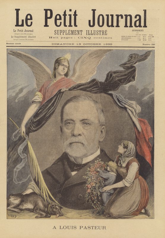 致Louis Pasteur 作者 法语学校