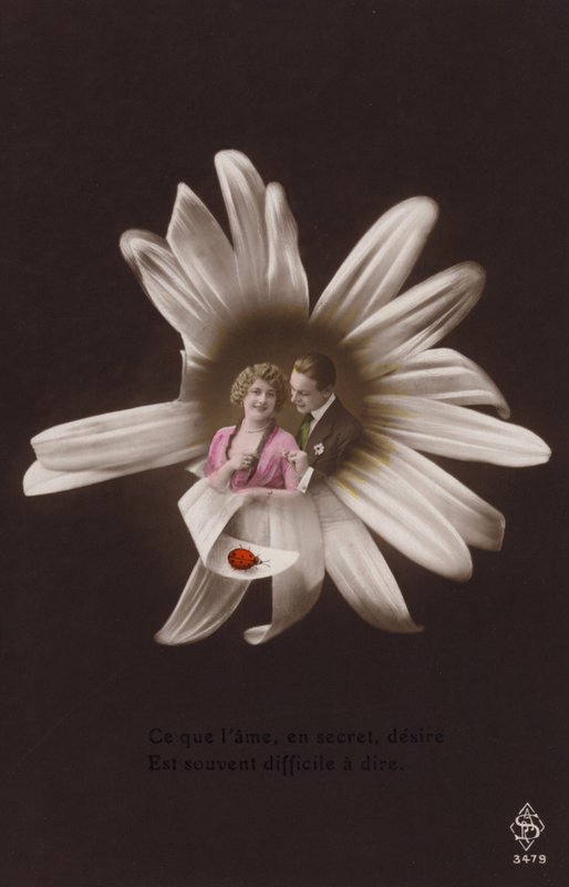 一对年轻夫妇在一朵花的中心与瓢虫（有色photocollage） 作者 法国摄影师