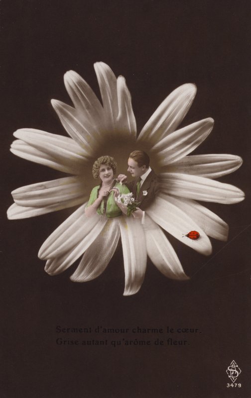一对年轻夫妇在一朵花的中心与瓢虫（有色photocollage） 作者 法国摄影师