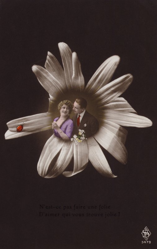 一对年轻夫妇在一朵花的中心与瓢虫（有色photocollage） 作者 法国摄影师