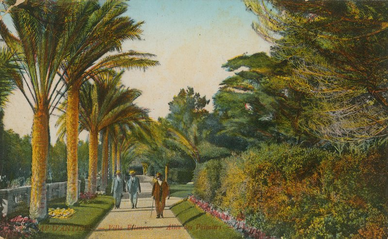 棕榈树的小巷，别墅Eilenroc的庭院，盖帽dAntibes，法国。明信片于1913年寄出 作者 法国摄影师